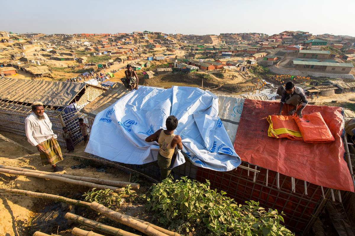 Four men spread tarpaulin's on a roof of a shelter.