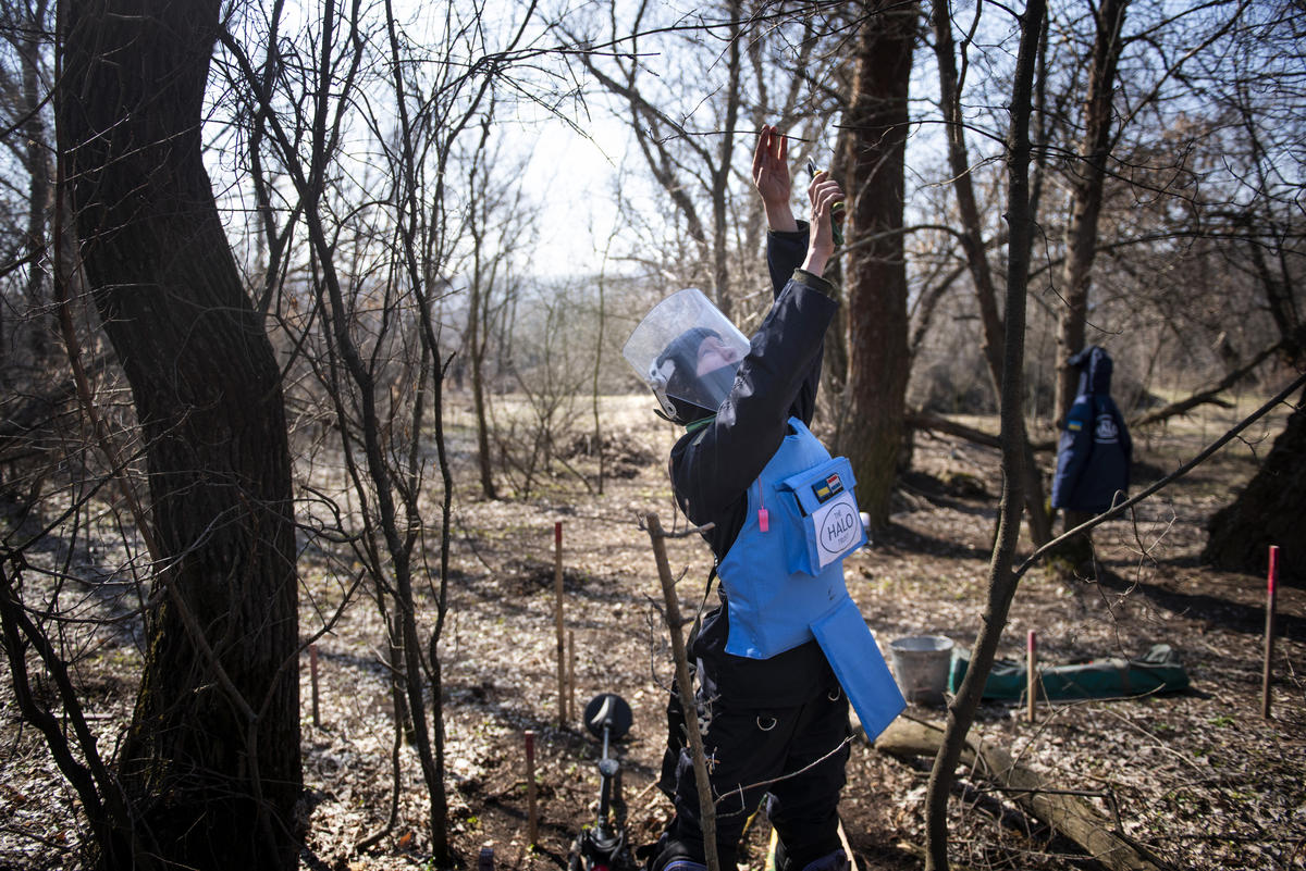 Ukraine. A female deminer looks for landmines in the Donbas area