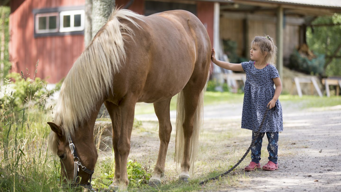 Diana hilser på en hest fra naboens stall.  © UNHCR/Max-Michel Kolijn