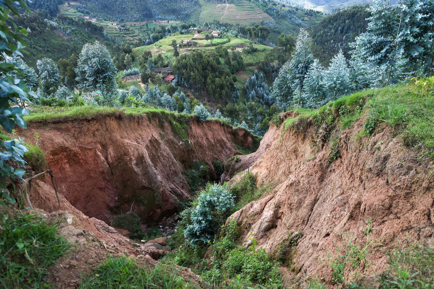 A ravine of exposed soil runs through a lush landscape in Rwanda.