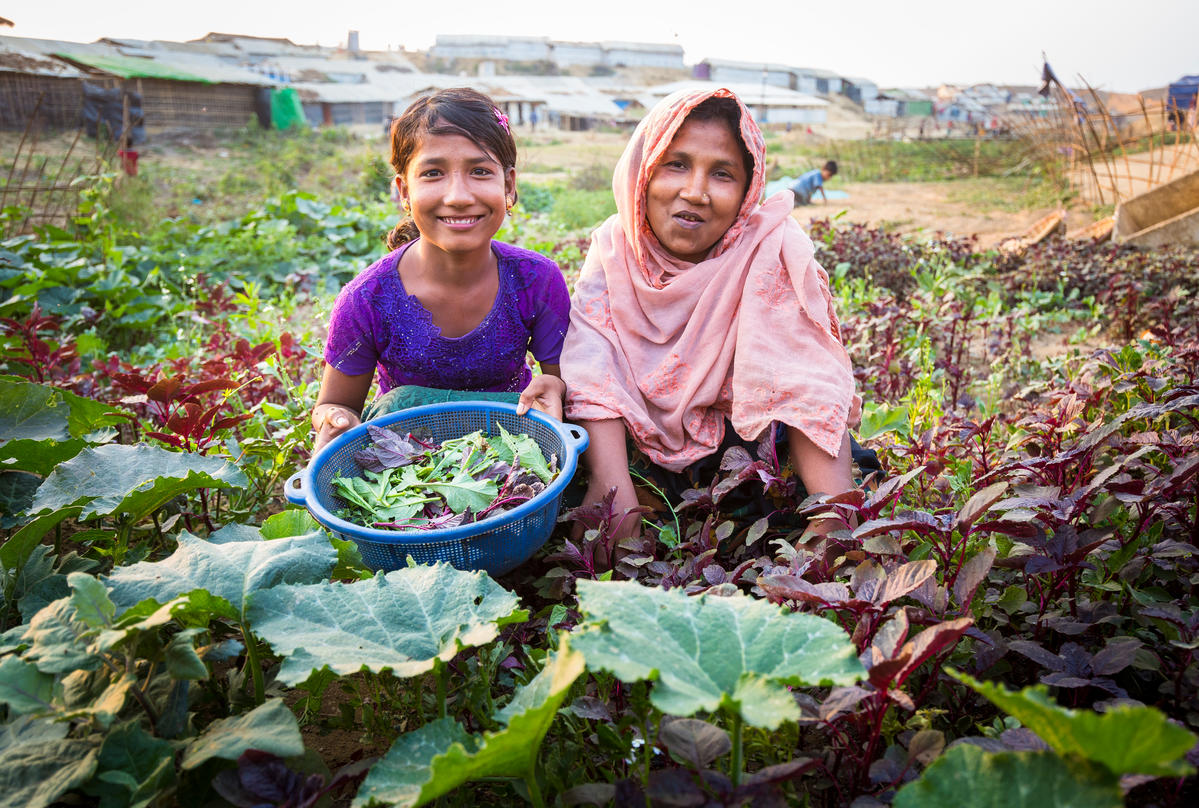 Bangladesh. Rohingya refugees turn to farming