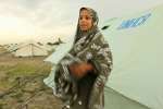 Desperately Needing Shelter: UNHCR has started distributing tents to p...