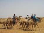 Tuareg nomads from Mali head eastwards on their camels during the live...