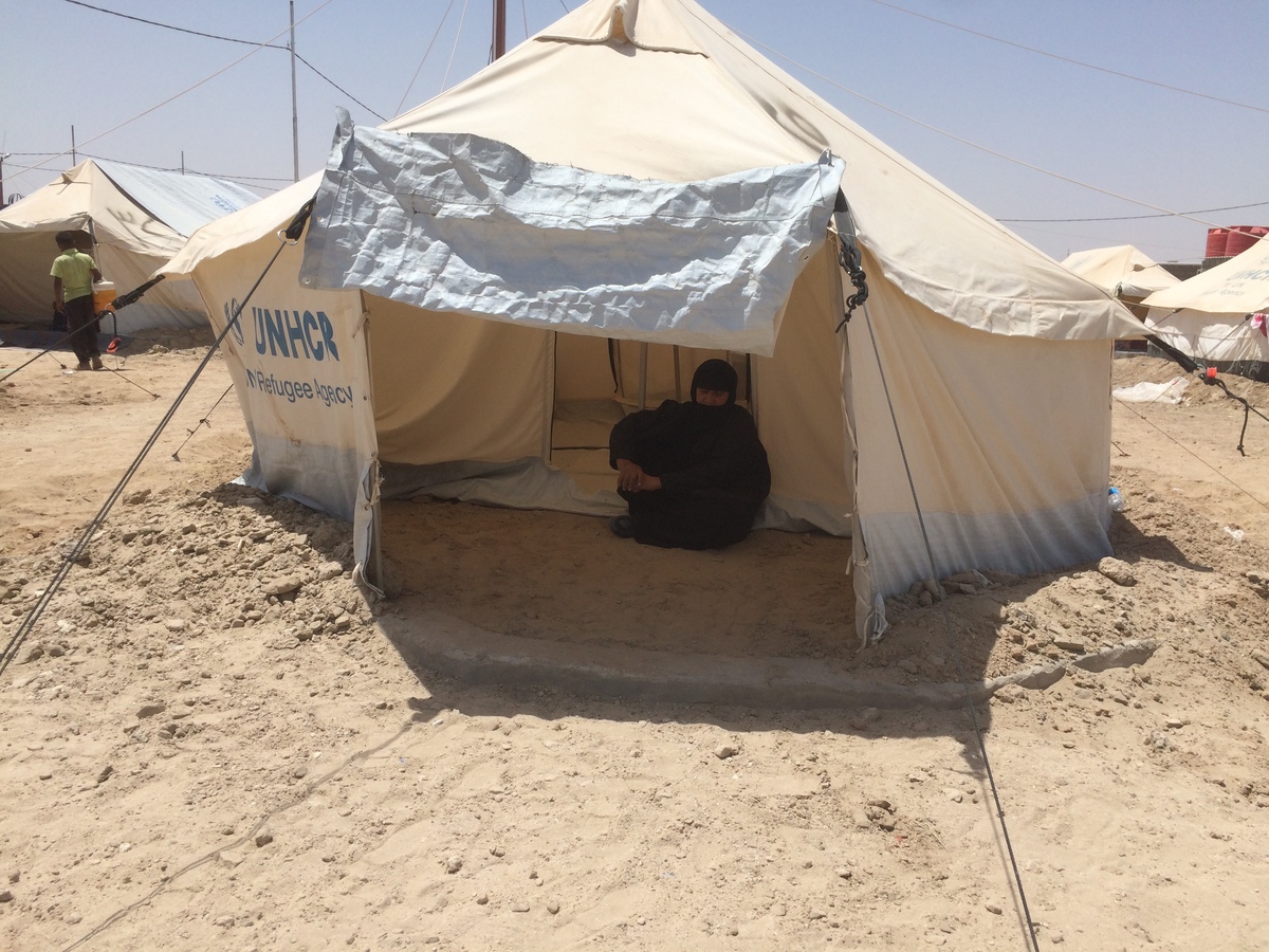 Iraq. Camps housing newly displaced families from Falluja