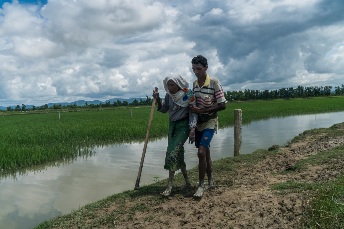 Bangladesh. An elderly Rohingya refugee is helped cross the border
