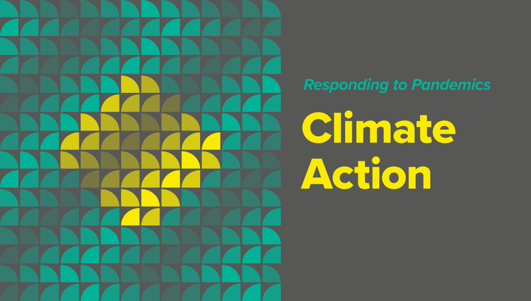 NGO consultations 2020 - climate action