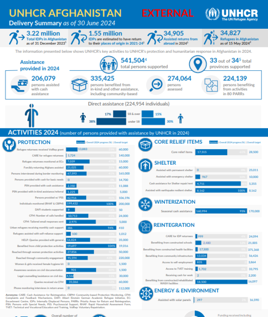 Afghanistan Delivery Summary - June 2024