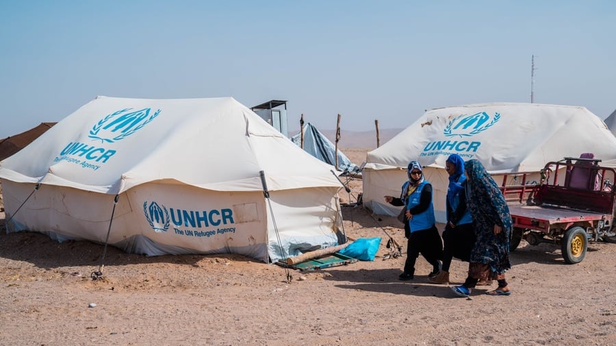 Emergency tents in Herat province