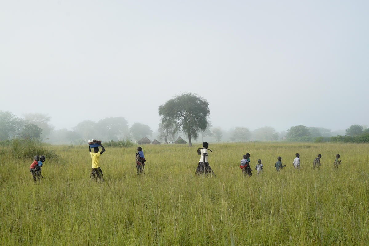 Uganda. South Sudanese refugees regenerate rice-growing economy