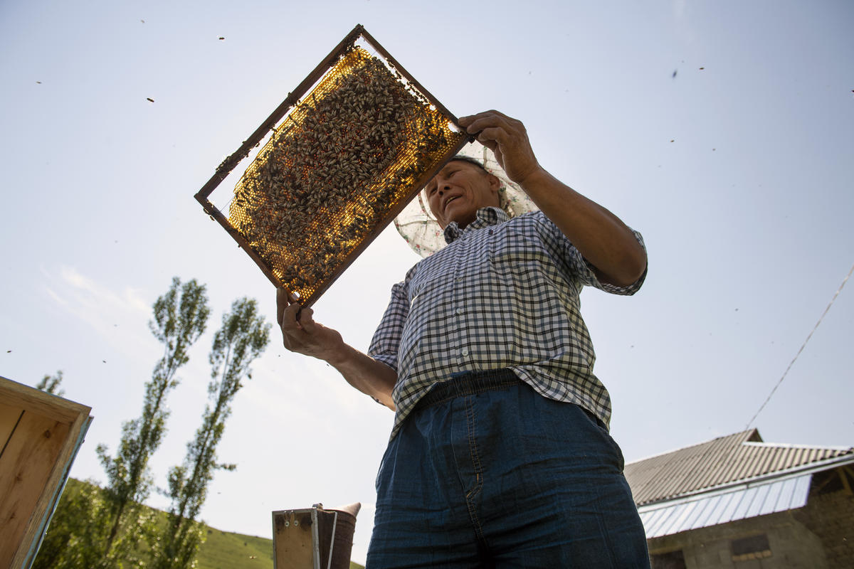 Kyrgyzstan. Stateless beekeeper gets passport to pursue dreams