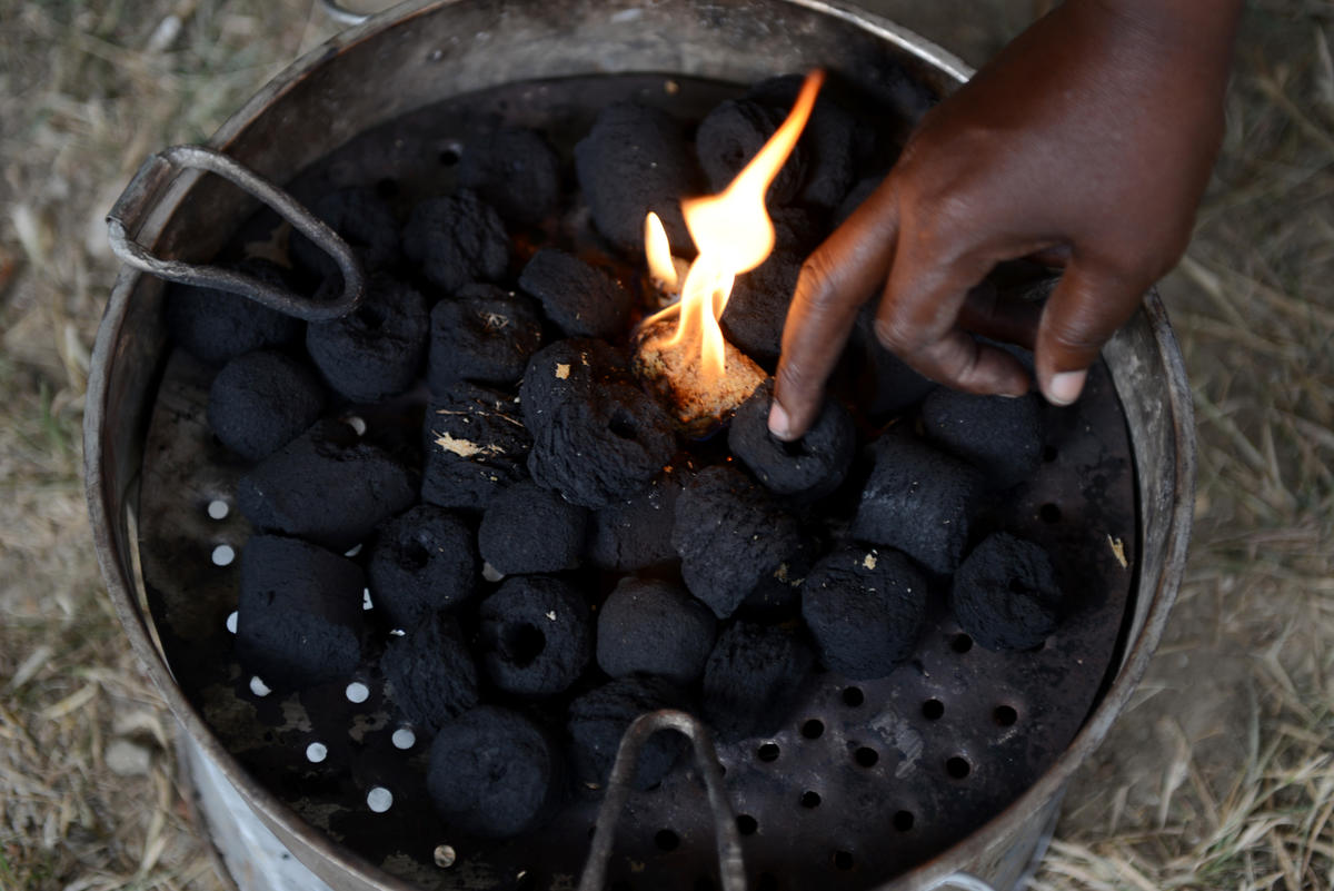 Cameroon. Refugees make briquette fuel to reduce deforestation