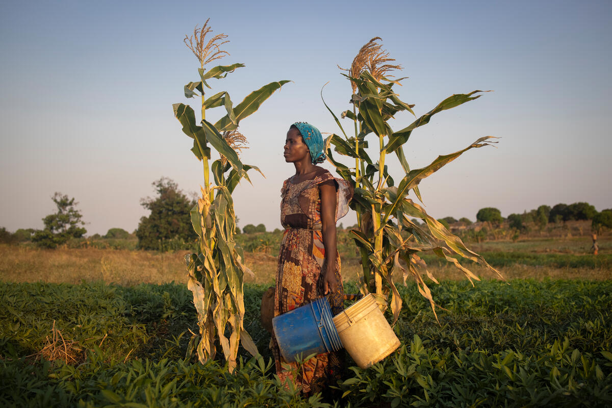 Mozambique. Refugee woman waters her potato field