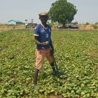 Oyuoh Dak Awang, 46, a father of eight, fled Malakal in 2013, spent over a decade in Sudan, then returned and learned vegetable farming from neighbours before being selected for UNHCR training and support in March 2025. 