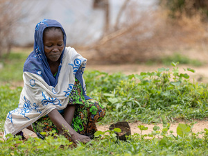 Cameroon. Planting 2,000 trees in the Far North region of Cameroon to help combat desertification