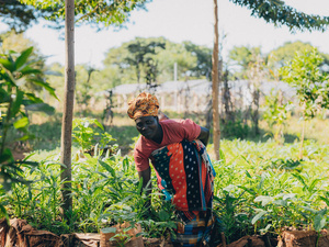 Tanzania. Green Climate Fund Project
