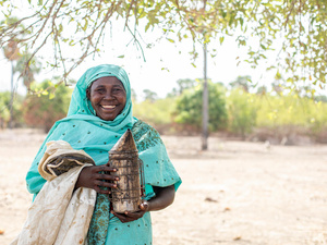 Chad. Beekeeping Blossoms: Empowering Refugees in Kerfi Settlement.
