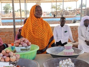 Chad. Refugee entrepreneurs receive cash support