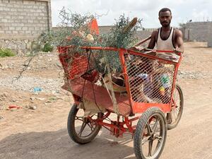 Yemen. Supporting recyclable waste collectors in Aden