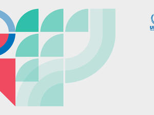 Annual Consultations with NGOs