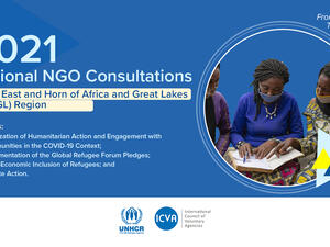 NGO consultations