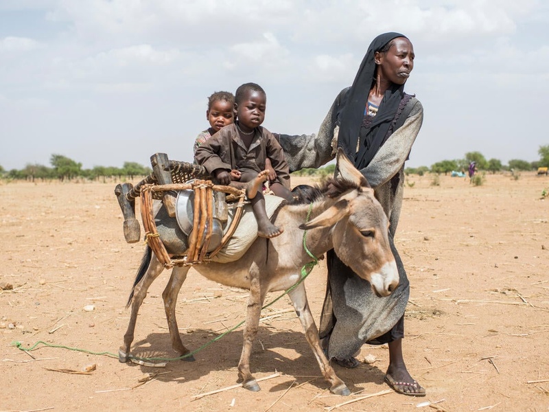 A woman walking beside a donkey, on which two children are sitting