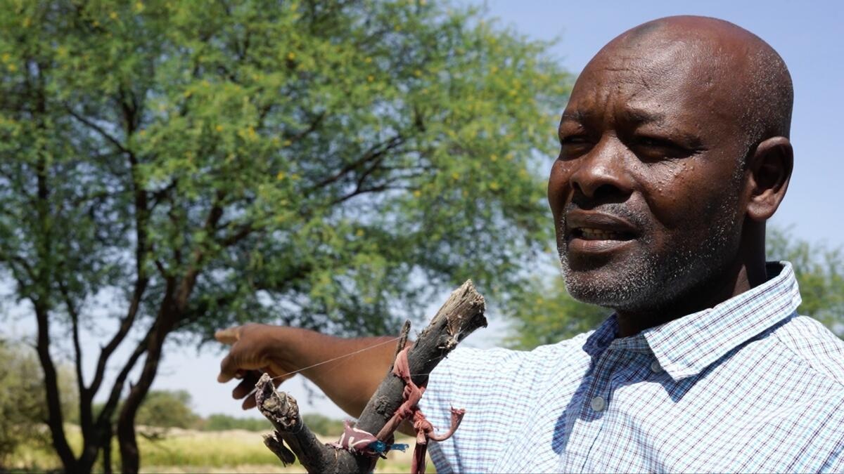 Chad.Cameroonian refugee Abo Abdoulaye Akramadé pointing his finger in direction of a farmland the host community accepted to give to him in Guilmey camp, on the outskirts of the Chadian capital, Ndjamena.