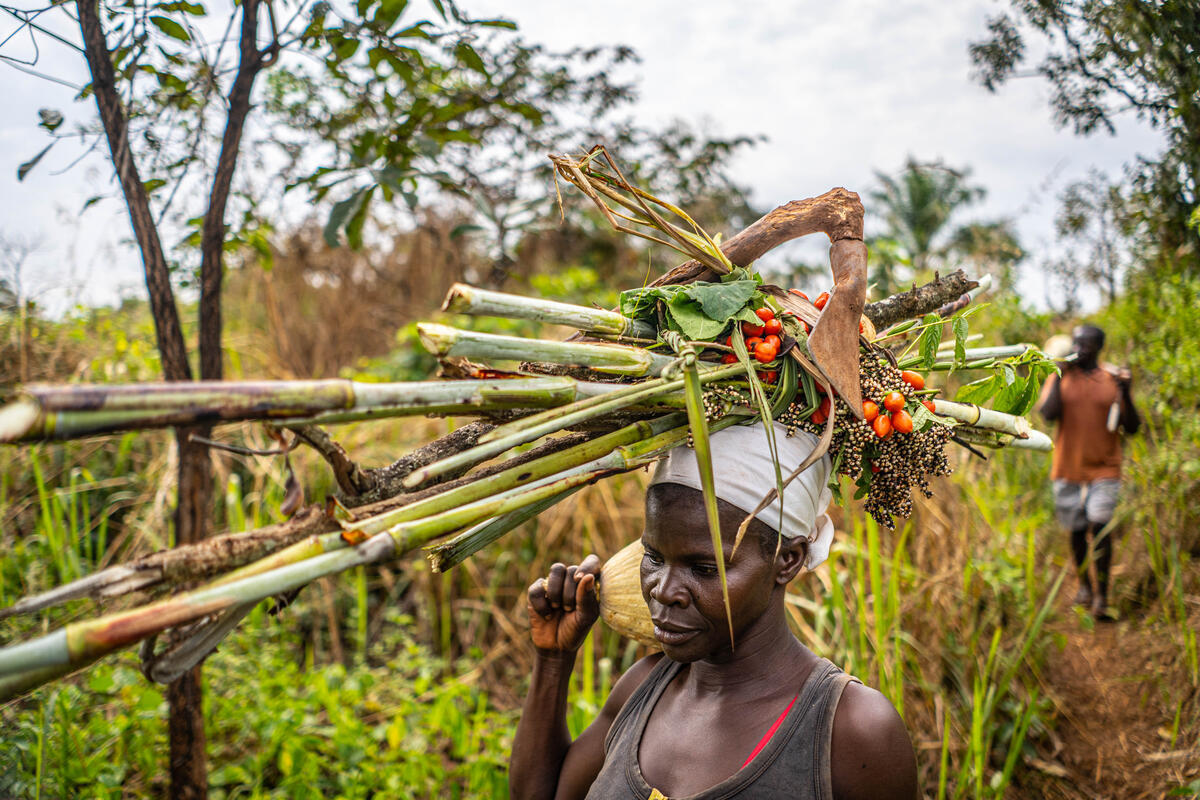 Central African Republic