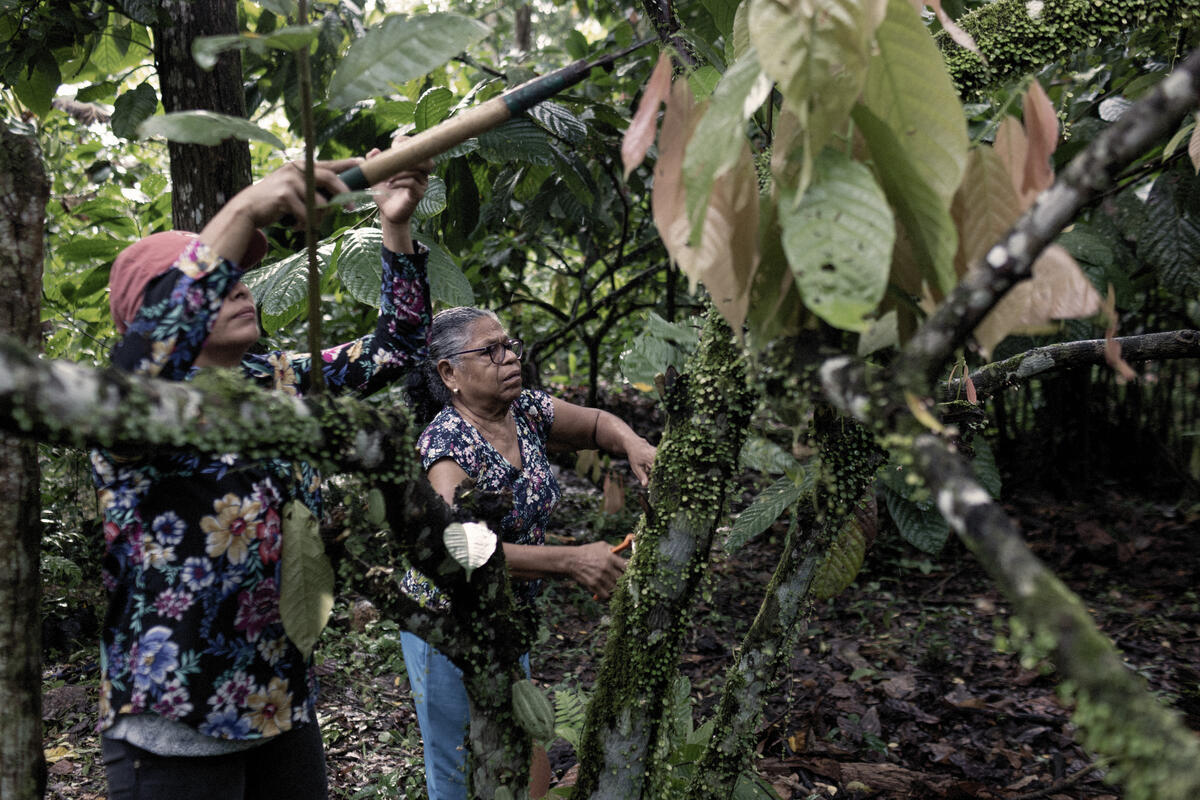 Costa Rica. Regional Nansen winner devotes life to defending local and refugee women