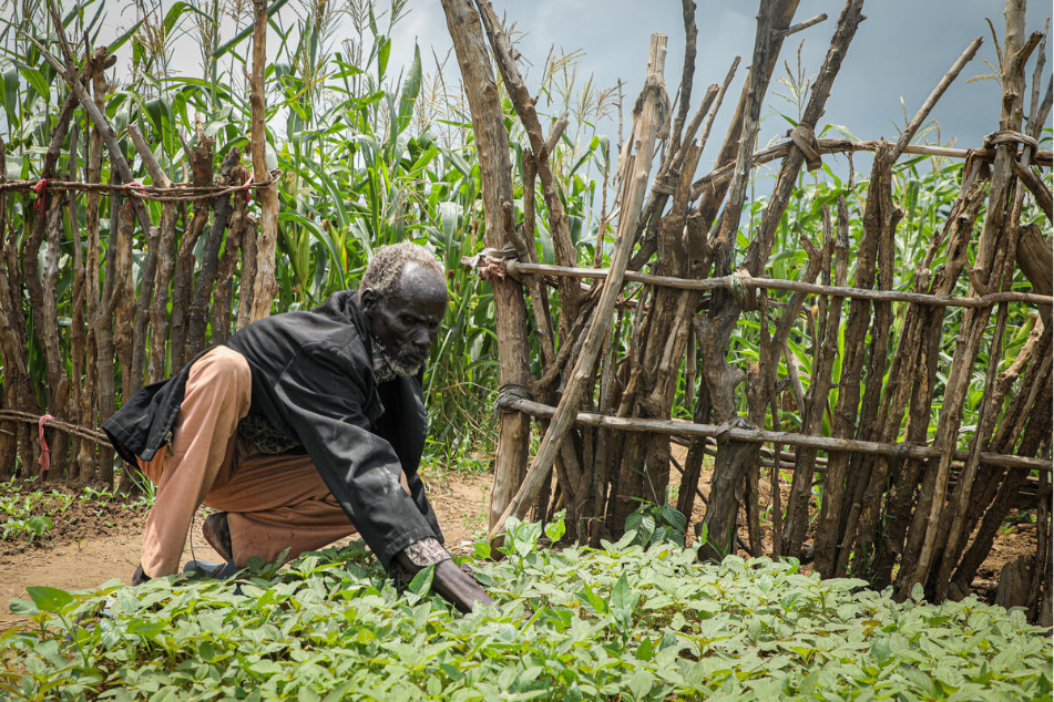 Kuot tends to his garden as flooding threatens livelihoods of the internally displaced (IDP) in Mangalla. © UNHCR/Reason Moses Runyanga  