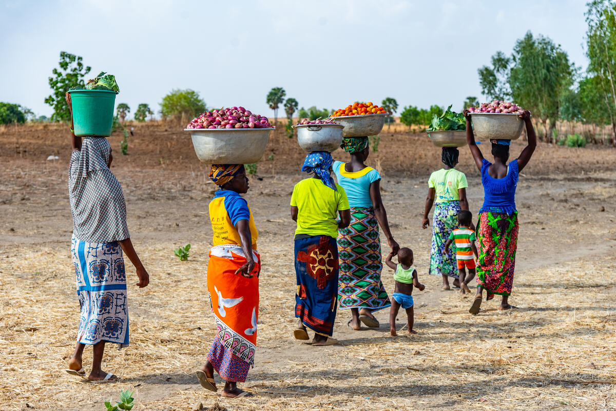 Togo. Refugee women and women from the host community carrying their tomato, onion and lettuce crops to market in Biankouri
