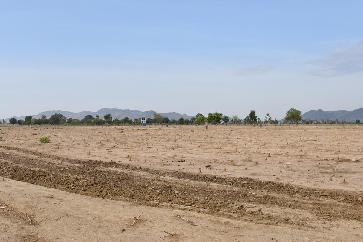 Cameroon. Refugee who works on a 151 hectare farm donated by Cameroon government