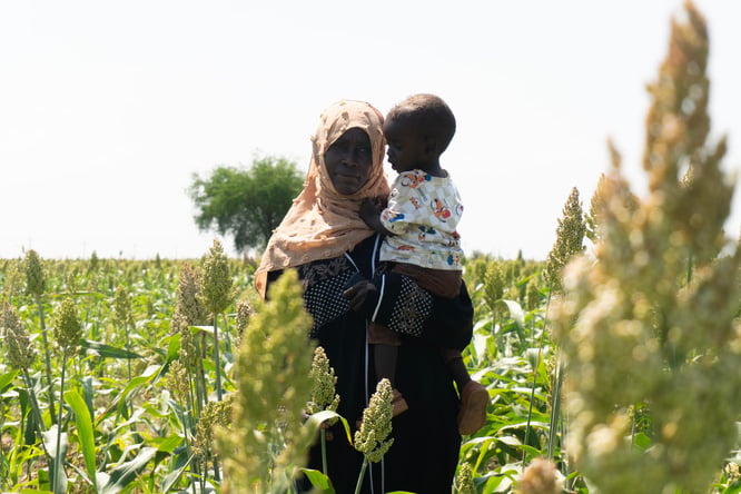 solar-powered irrigation systems are supporting refugees, displaced people and host communities in White Nile State to strengthen food security, improve livelihoods and adapt to the impacts of climate change and displacement. 