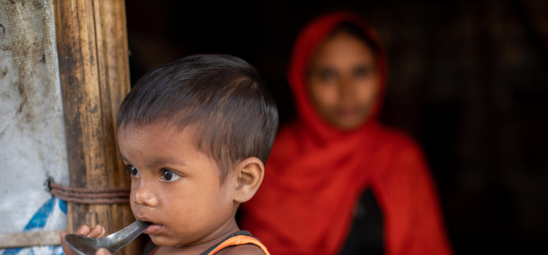 Bangladesh. LPG distribution efforts by UNHCR and partners have reduced the cutting of firewood by 80% in the camps