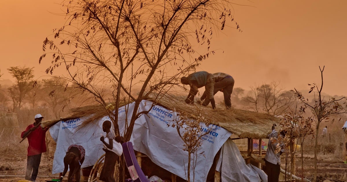 Shelter | UNHCR Africa