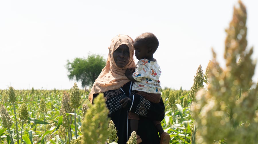 solar-powered irrigation systems are supporting refugees, displaced people and host communities in White Nile State to strengthen food security, improve livelihoods and adapt to the impacts of climate change and displacement. 