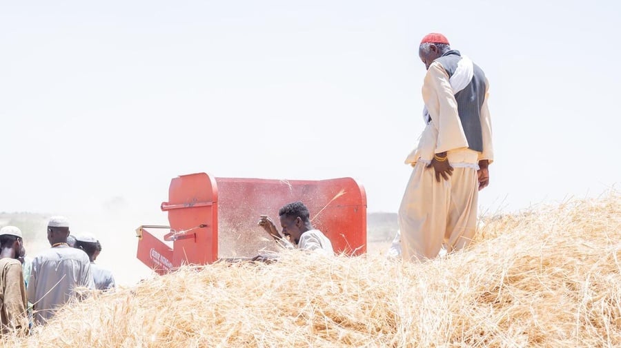 Sudan. Refugees, IDPs and host communities thrive benefiting from livelihood opportunities