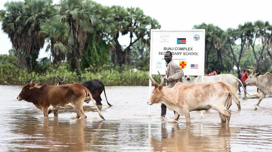 South Sudan. Heavy rains flood refugee camps in Maban county