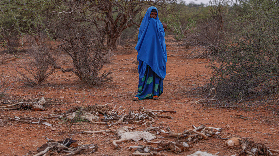 Ethiopia. UNHCR supports the displaced and host communities in Melkadida