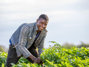 The report found progress on key objectives including enhancing refugee self-reliance and easing pressure on host countries.