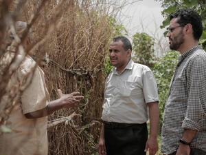 Yemen. A community organization that provides a lifeline to displaced Yemenis is awarded the 2021 UNHCR Nansen Refugee Award