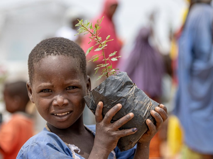 Cameroon. Planting 2,000 trees in the Far North region of Cameroon to help combat desertification.