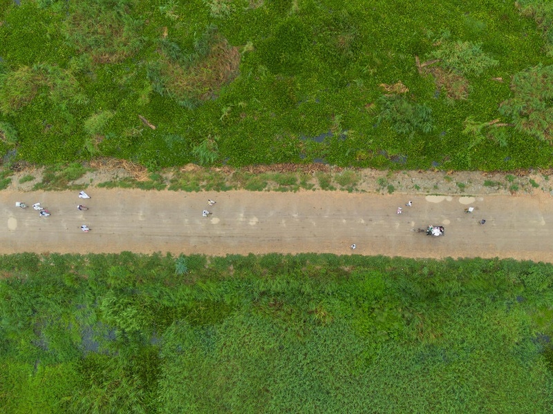 Aerial view of people walking on a wide dirt road between dense greenery.