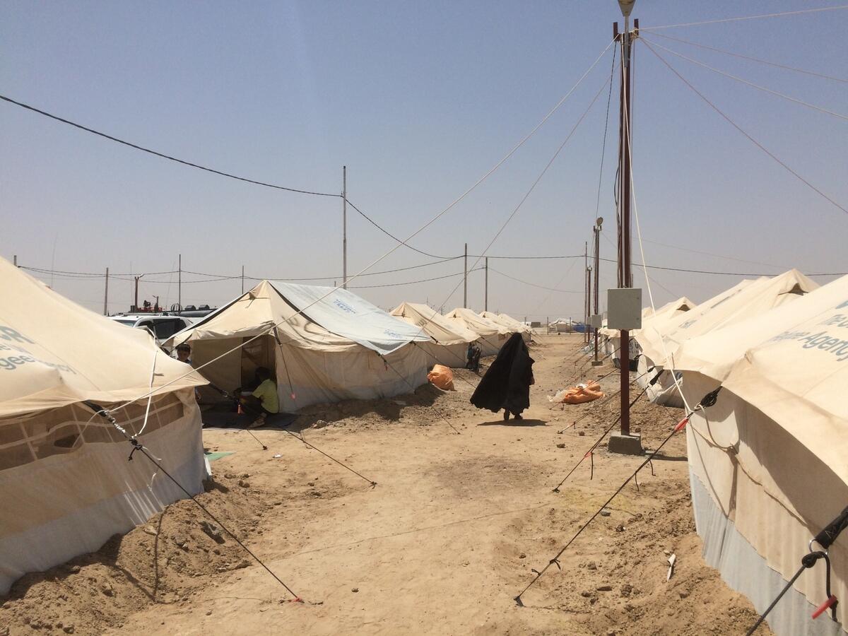 Iraq. Camps housing newly displaced families from Falluja
