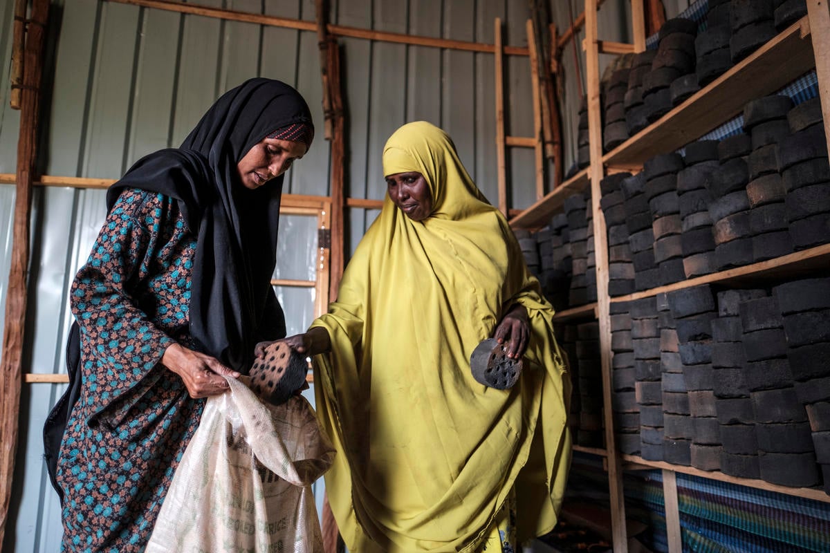 Ethiopia. Pesky weed provides energy and income for Somali refugees and hosts