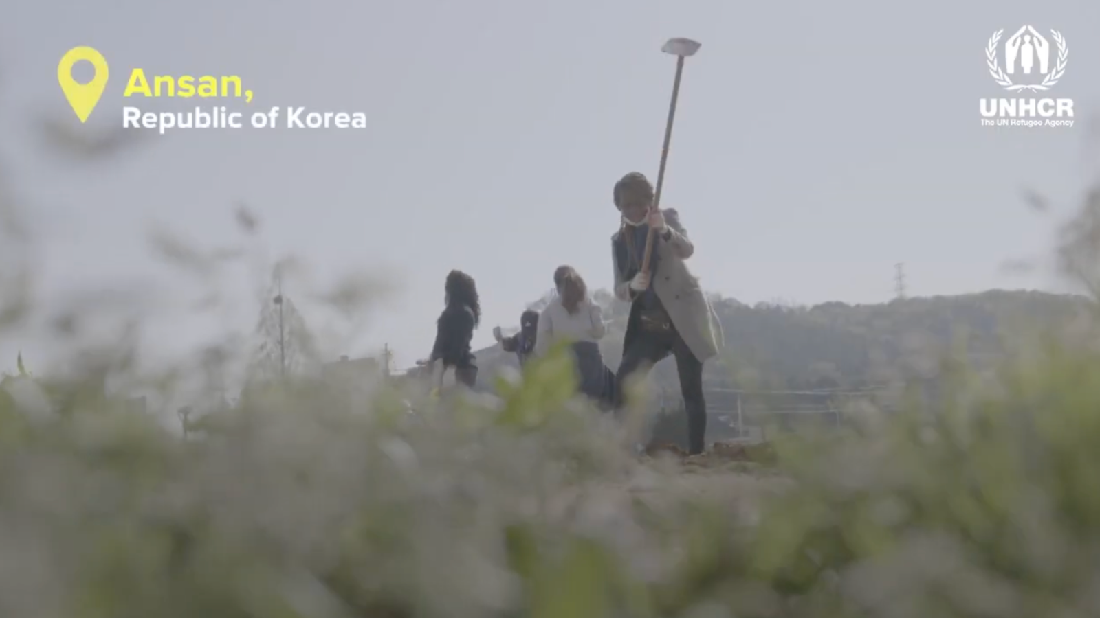 Click on the thumbnail to watch a video about the Wise Women Association