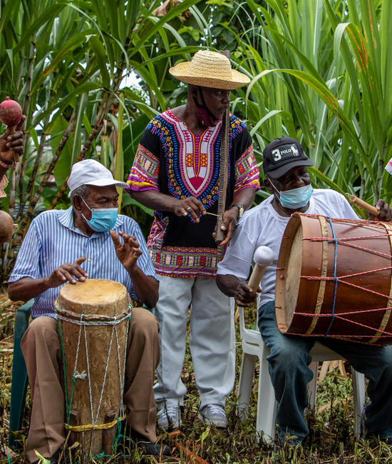 A group of Ecuadorian elders play instruments in their backyard.
