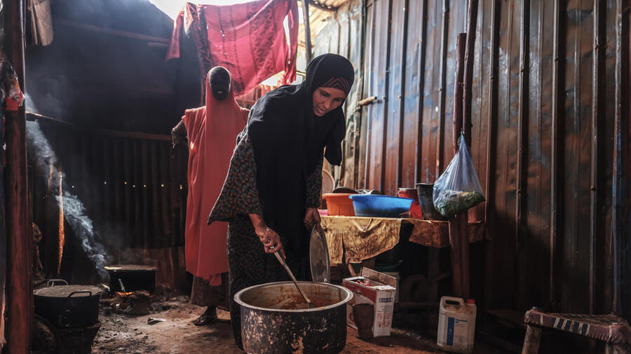 Ethiopia. Pesky weed provides energy and income for Somali refugees and hosts