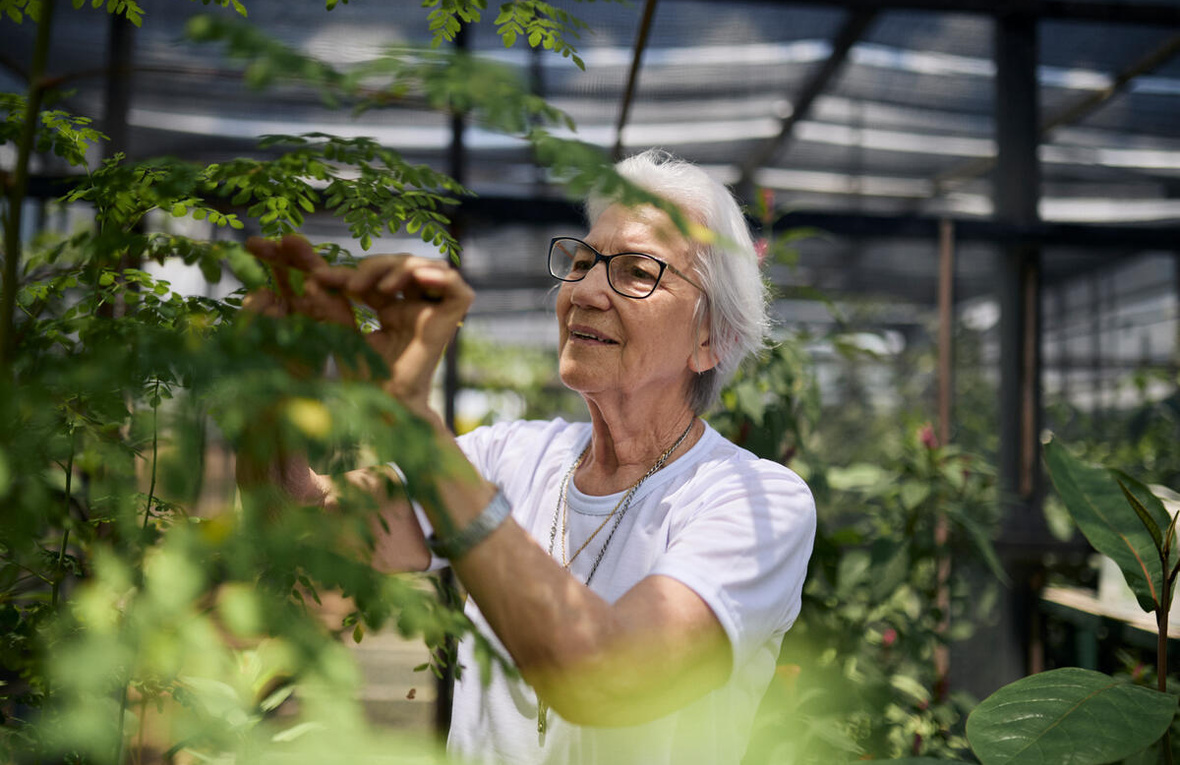 Brazil. UNHCR Nansen Refugee Award, 2024 Global Laureate, Sister Rosita Milesi, honoured for decades-long dedication to helping people forced to flee
