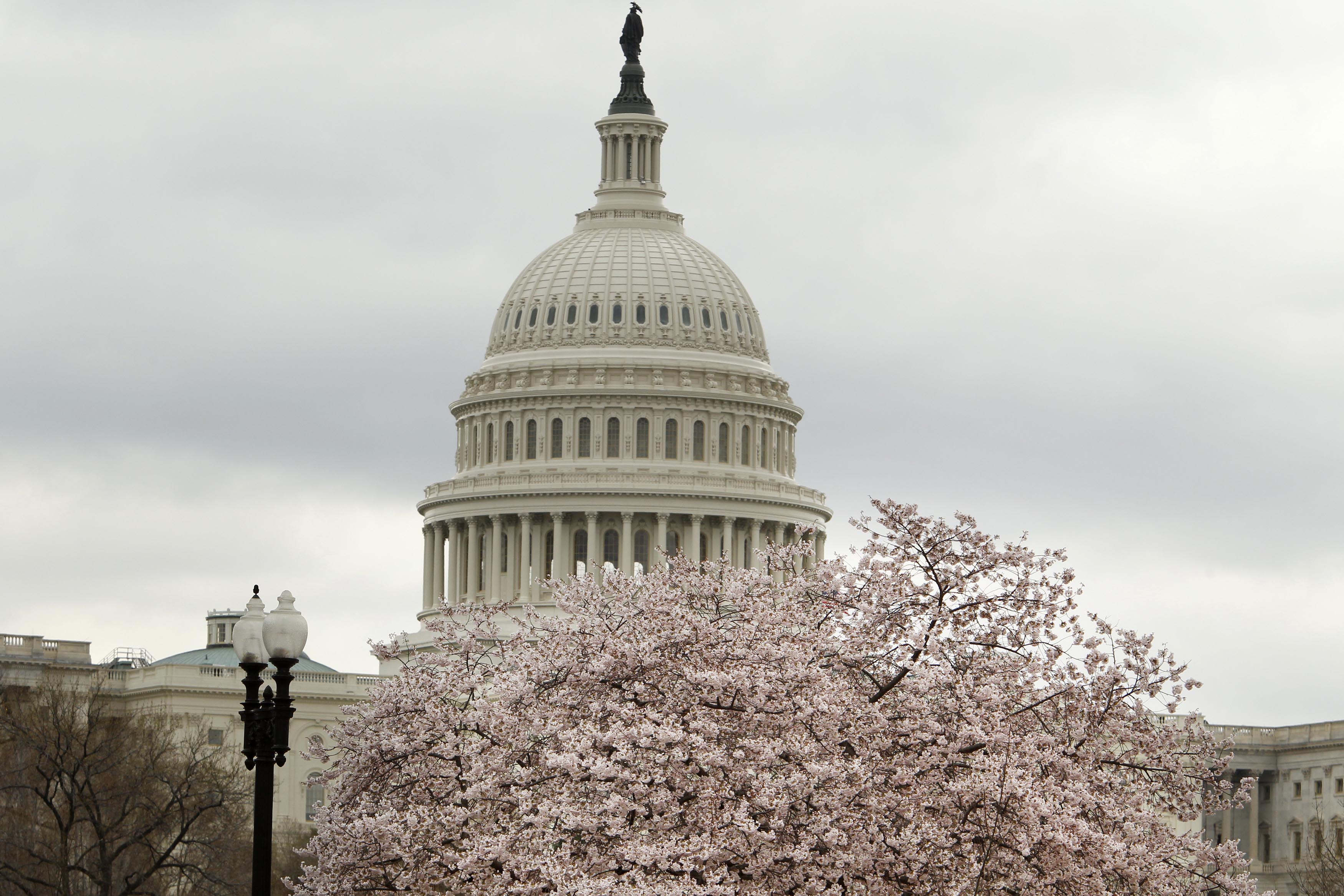 The meeting in Washington discussed the challenges faced by refugees and asylum-seekers because of their sexual orientation and gender identity.