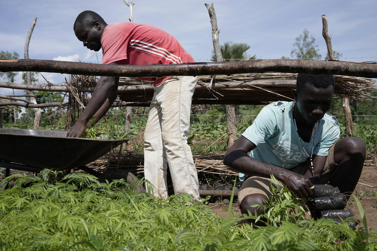 Uganda. The South Sudanese refugee has seen vast tree cover disappear and understands the pressure refugees and host communities put on forest resources. He is doing his part to undo some of the damage by planting trees around his small plot of land. He is also helping to sensitize other refugees to